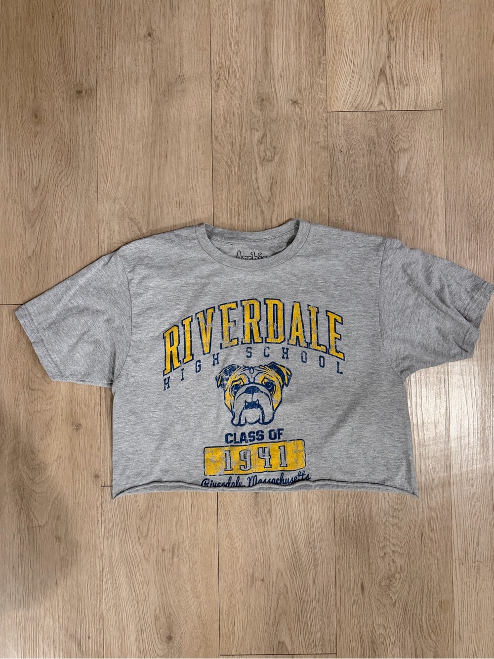 Riverdale High School Grey Cropped T‑Shirt - Archie Comics Ripple Junction